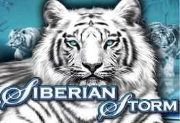 Siberian Storm Main image