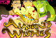 ALADDIN'S WISHES