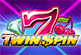 Twin Spin