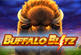 Buffalo Blitz