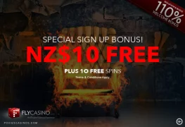 Playtech Casino NZ Fly Casino