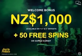 Ace Pokies Internet Casino Bonus