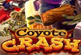 coyote crash game