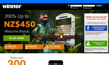 Winner Casino website