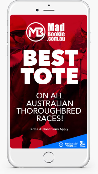 Mad Bookie mobile play